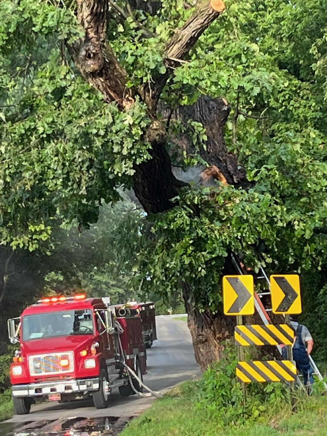 Greencastle road tree fire